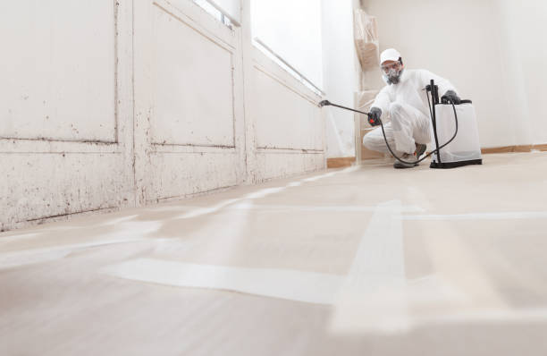 24/7 Emergency Mold Remediation experts in Runnemede, NJ